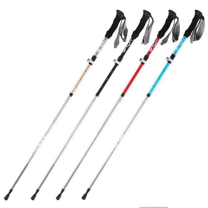 Bâton Randonnée 5 Sections Aluminium - Pliable Ultra-Compact 300g - Camp de Base Farzen