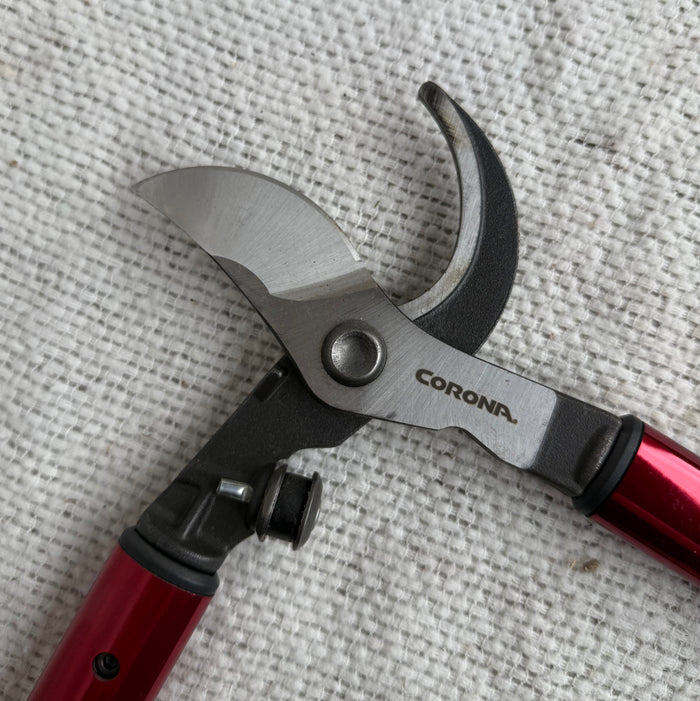 ClassicCUT® Bypass Lopper, 32 in., 2 in. Cut Capacity